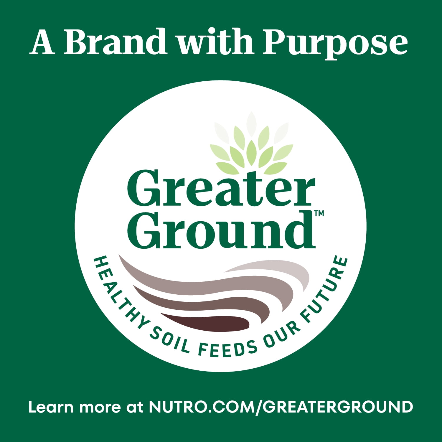 Nutro Natural Choice Petites Bouchées Recette à l'Agneau et au Riz Brun Nourriture Sèche pour Chiens Adultes 10kg
