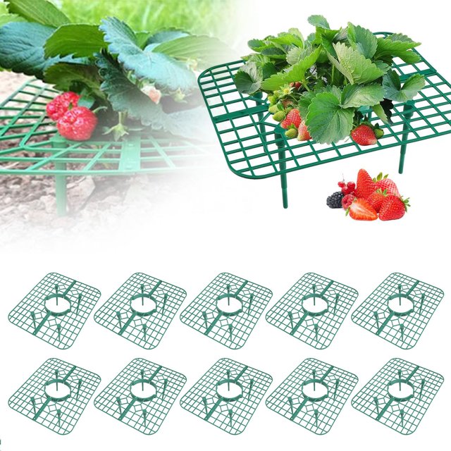 Oleegame 1PC Spoon And Lid Rest Strawberry Plant Support Strawberry Stand Keeping Strawberry Plants Clean Strawberry Growing Racks Strawberry Growing Frame(10PCS)
