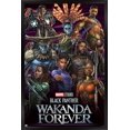thumbnail image 4 of Marvel Black Panther : Wakanda Forever - Groupe, 4 of 5