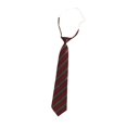 thumbnail image 1 of Boys Girls Solid Color Tie Pre-Tied Adjustable Kids Necktie For Wedding School Graduation Red D, 1 of 3
