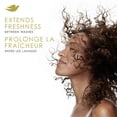 thumbnail image 4 of Dove Dry Shampoo Workout Refresh 100% Natural Cassava Starch, 142 g, 4 of 6