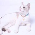 thumbnail image 3 of Dog Necklace Decorative Eye-catching Pretty Pet Dog Cat Necklace Pendant, 3 of 5