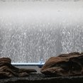 thumbnail image 2 of Aquarium Bubble Wall Air Stone Bar 14 Inch Fish Tank Bubble Wall Air Diffuser Household Tool, 2 of 8
