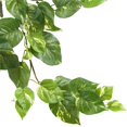 thumbnail image 3 of Nearly Natural 6059-S3 Arbuste Suspendu Pothos de 30 Po, Ensemble de 3, 3 of 3