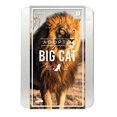 thumbnail image 2 of Gift Republic: Adoptez un Grand Chat, 2 of 10