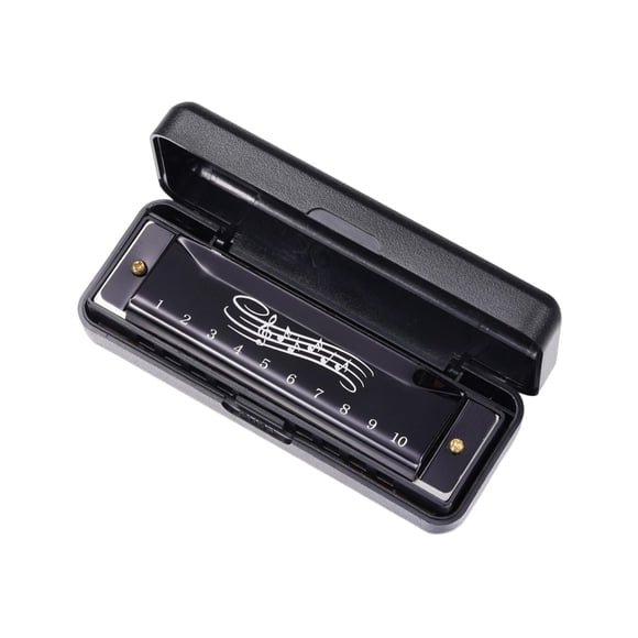 Baohd Orgue à Bec Portable Matériel Pédagogique Harmonica à 10 Trous pour Voyage Scène Famille Noir Noir 104x28x19mm