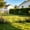 Black, variant on Garden Fence Stackable Climbing Support - Plastic Picket Fence Edging for Lawns, Flowerbeds, Borders, Decorative Yard Border - 40X22.5Cm, Black/White