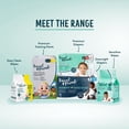 thumbnail image 3 of Rascals Premium Diapers, 3 of 9
