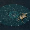 thumbnail image 2 of Cage à Crabe Rétractable Cage de Pêche Attrape-Crabe Fermeture Automatique Piège à Poisson Fil d'Acier pour Attraper le Crabe, 2 of 9
