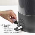 thumbnail image 4 of Honeywell Designer Series Humidificateur à Brume Fraîche, Noir, 4 of 5
