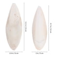 thumbnail image 3 of 6 Pcs Bird Chewing Cuttlefish Bone Gnawing Cuttlebone Bird Cage Accessories Natural Cuttlebone for Birds, 3 of 8