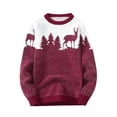 thumbnail image 1 of Pisexur Chandails de Noël pour Hommes Mode Imprimé de Cerf de Noël Chandail Tricoté Décontracté à Manches Longues Col Rond Automne Hiver, 1 of 6