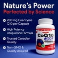 thumbnail image 2 of Nutridom Coenzyme Q10 200 Mg Extra Fort, Soutien à la Santé Cardiovasculaire, 120 Gélules Molles, 2 of 7