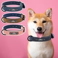 thumbnail image 4 of Soft Leather Personalized Dog Collar ID Tag Engraved for Small Medium Large D T3 F4O3, 4 of 9