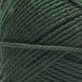thumbnail image 2 of Bernat® Softee® Chunky™ Yarn, Acrylic #6 Super Bulky, 14oz/400g, 431 Yards, 2 of 8