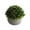 Vert, variante sur Arrangement de Vase en Céramique à Fleurs Artificielles, Mini Faux Bouquet Floral pour Centre de Table, Déco Maison, 12 cm