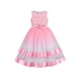 thumbnail image 1 of Girls Dress Pink Gradient Color Party Pageant Flower Lace Top Sleeveless 7 Years, 1 of 7