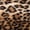 EL PASO LEOPARD, variant on BELTON FAUX FUR PILLOW 18"X18" 2-PACK