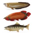 thumbnail image 3 of Gprince Modèle d'Animal Marin de Simulation Poisson Réaliste Figurines d'Action d'Aquarium Jouets Éducatifs Cognitifs pour Cadeaux, 3 of 9