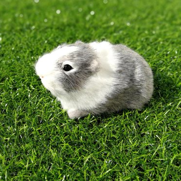 Peluche Cochon d'Inde Animal Cochon en Peluche Doux Petit Hamster Jouet Mignon