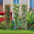 thumbnail image 2 of Costway Lot de 2 Treillis de Jardin 57 Pouces Support pour Plantes et Cages à Tomates avec Hauteur Réglable, 2 of 10