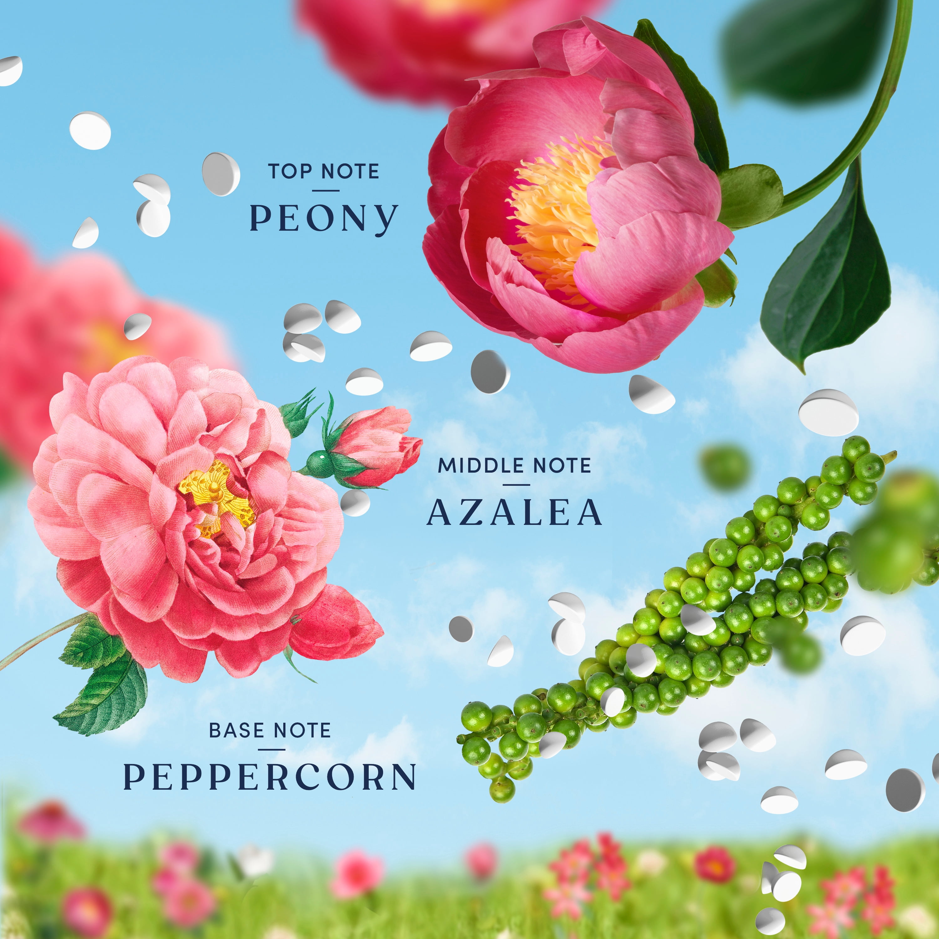 Downy Boutique Botanicals In Wash Laundry Scent Booster Beads, PEONIA Scent, 598 g, Boutique Fragrances inspired by the Artistry of Nature