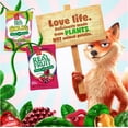 thumbnail image 2 of REALFRUIT Gummies Tropical Candy, Dare Real Fruit, 2 of 9