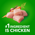 thumbnail image 3 of IAMS Proactive Health Beef, Rice, Carrots & Green Beans Adult Wet Dog Food, 3 of 13