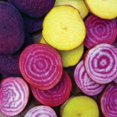 thumbnail image 1 of HJADGG Beet Blend Rainbow Mix Seeds-300 Seeds-Colorful, Heirloom & Open-Pollinated Varieties-Rich in Nutrients, 1 of 3