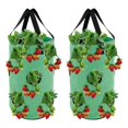 thumbnail image 1 of Strawberry Planting Pot Container Plant Grow Bags Home Hanging Strawberry Planter Growing Bags, 1 of 9