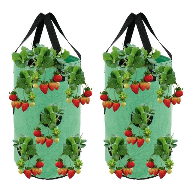 Strawberry Planting Pot Container Plant Grow Bags Home Hanging Strawberry Planter Growing Bags