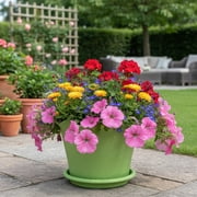 Plastic Flower Pots, EDHITNR Ruffled Wave Edge Lilies Style Planters, Durable Indoor Outdoor Decorative Flower Pots with Drainage Tray for Succulents Plants
