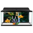 thumbnail image 1 of Fosa Aquarium Poster, Aquarium Sticker, PVC For Fish Tank Water Aquarium Decoration, 1 of 8