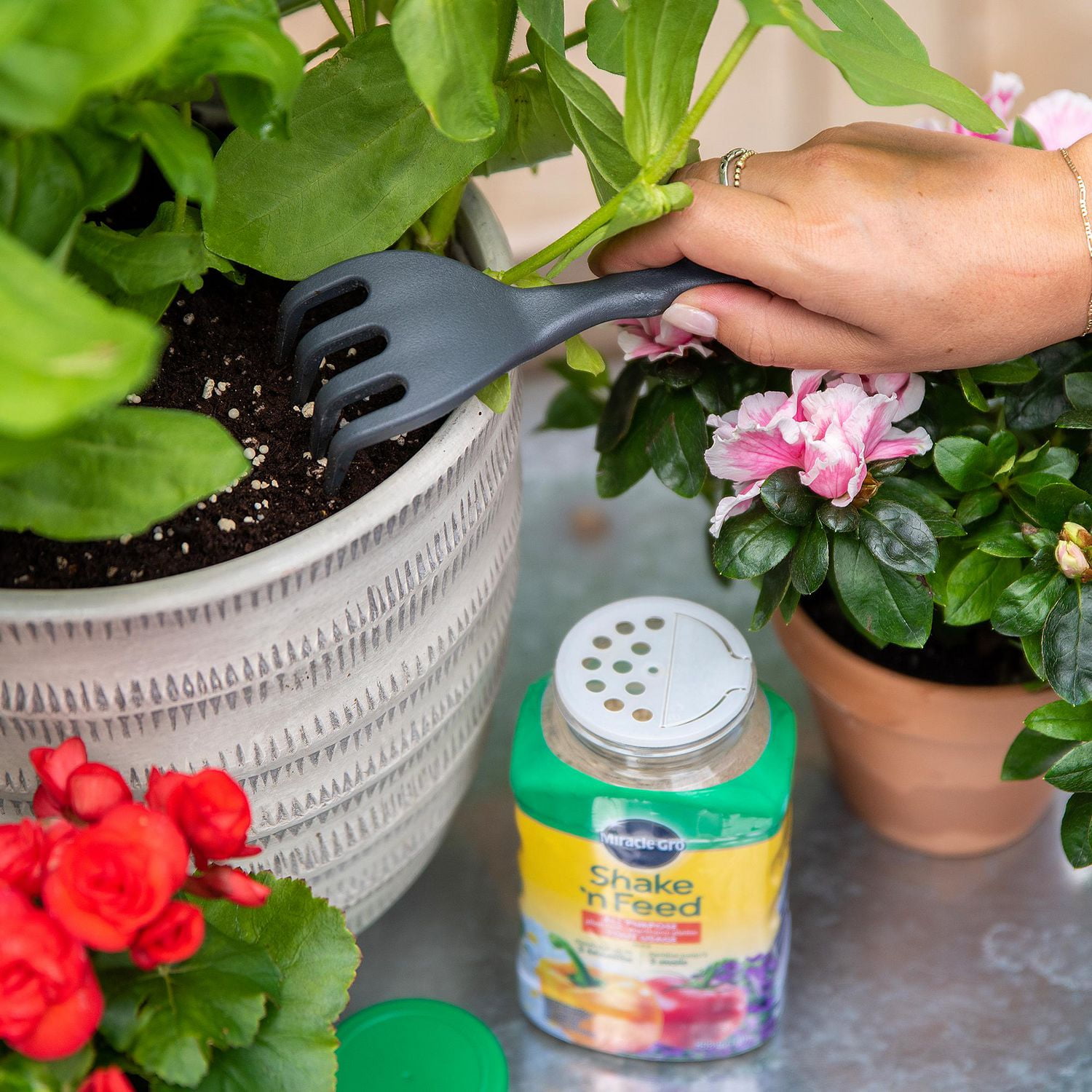 Miracle-Gro Shake N Feed All Purpose Plant Food 12-4-8