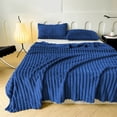 thumbnail image 2 of Blue 100Cm Year-Round Fleece Throw Blanket Lightweight Design Reversible Texture Microfiber #02CJf, 2 of 6
