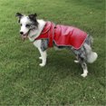 thumbnail image 2 of Pet Clothes for Winter Dog Clothes for Small Dogs Boy Summer Reflective Dog Coat Cold Weather Warm Dog Jacket Apparel For Small Medium, 2 of 8