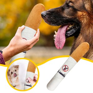 Riforla Dog Toy Squeaky Dog Toys Novelty Dog Toy Squeaky Toys Interactive Dog Toy Chewing Pet Toy for Small Medium Large Dogs Chew Toys White
