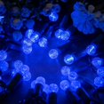 thumbnail image 4 of Blue One-Piece G12 Raspberry Christmas Lights 140 Count 48 Feet, 2 Sets 70 LED 24 ft High Waterproof UL Certified String Light (Blue), 4 of 8