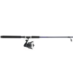 Capturer plus de brochet de poisson Spinning Combo
