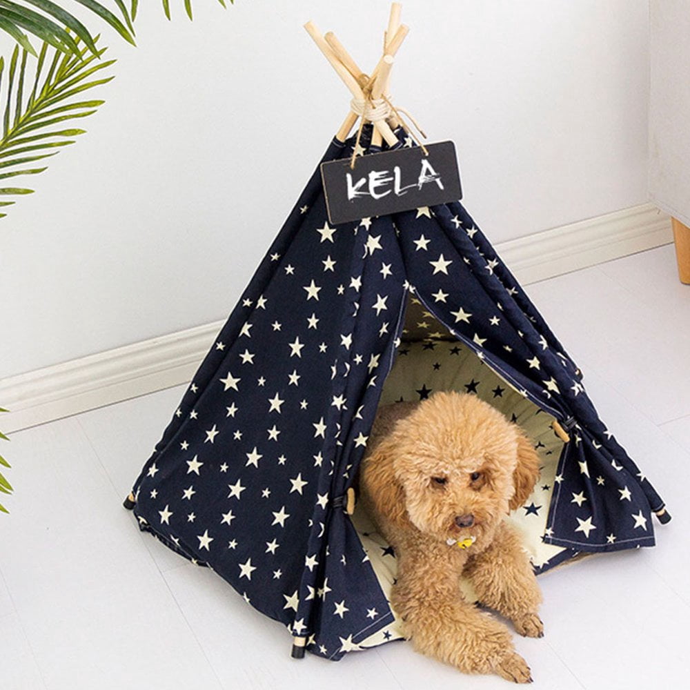 Tente Portable pour Chat Chien Motif Étoile Lit Pliable avec Coussin