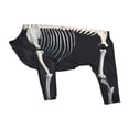 thumbnail image 2 of Halloween Skeleton Dog Costume Fancy Dress Props Clothes Decor Apparel for Party XL, 2 of 9