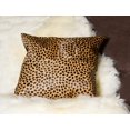 thumbnail image 2 of TORINO TOGO QUATTRO COWHIDE PILLOW 18"X18" 2-PACK, 2 of 3