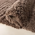 thumbnail image 2 of SAFAVIEH Polar Abbot Carlene Tapis Peluche Shag, 2 of 7