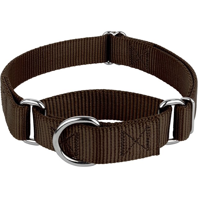 Country Brook Petz - Brown Martingale Heavy Duty Nylon Dog Collar - 21 Vibrant Color Options (1 Inch Wide. Extra Large)