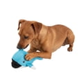 thumbnail image 1 of One Paw, Whale Cooling Dog Toy, Floats In Water, Durable, 1 of 8