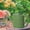 A, variant on Watering Can for Garden Indoor Outdoor Flower - Durable Metal Watering Tool for Gentle Even Watering and Easy Pouring Great for and potted Flowers
