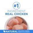 thumbnail image 4 of Purina ONE +Plus Urinary Tract Formula Chicken, Dry Cat Food 1.8kg, 4 of 10