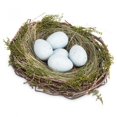 thumbnail image 1 of Set of 12 Nest With Pale Blue Eggs Decoration, 1 of 1