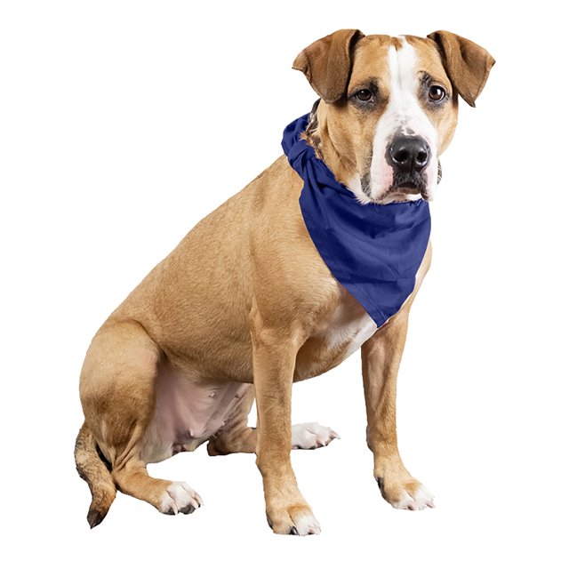 3 Pcs Plain Cotton Pets Dogs Bandana Triangle Shape - Large & Washable (Blue)