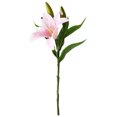 thumbnail image 2 of Fridja Artificial Decorative Flower Single 3 Heads Home Decoration Artificial Flower, 2 of 2